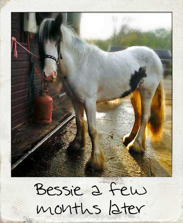 Bessie a few months later