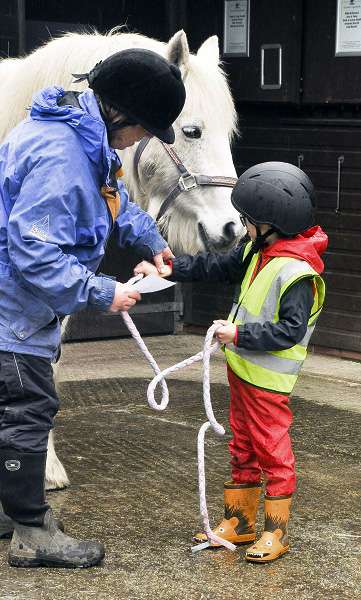 Children grooming a pony