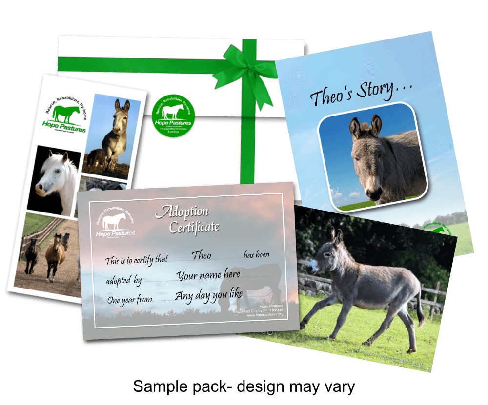 Adoption scheme pack shot