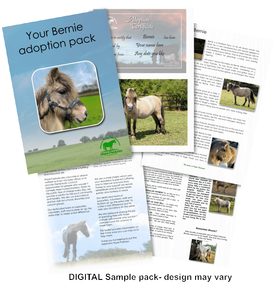 Adoption scheme pack shot