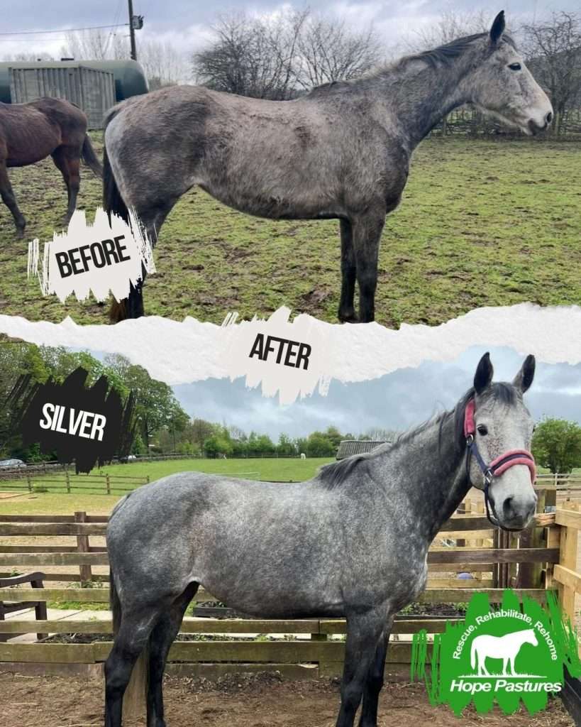 Image of Silver
