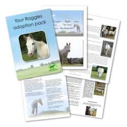 Raggles adoption pack