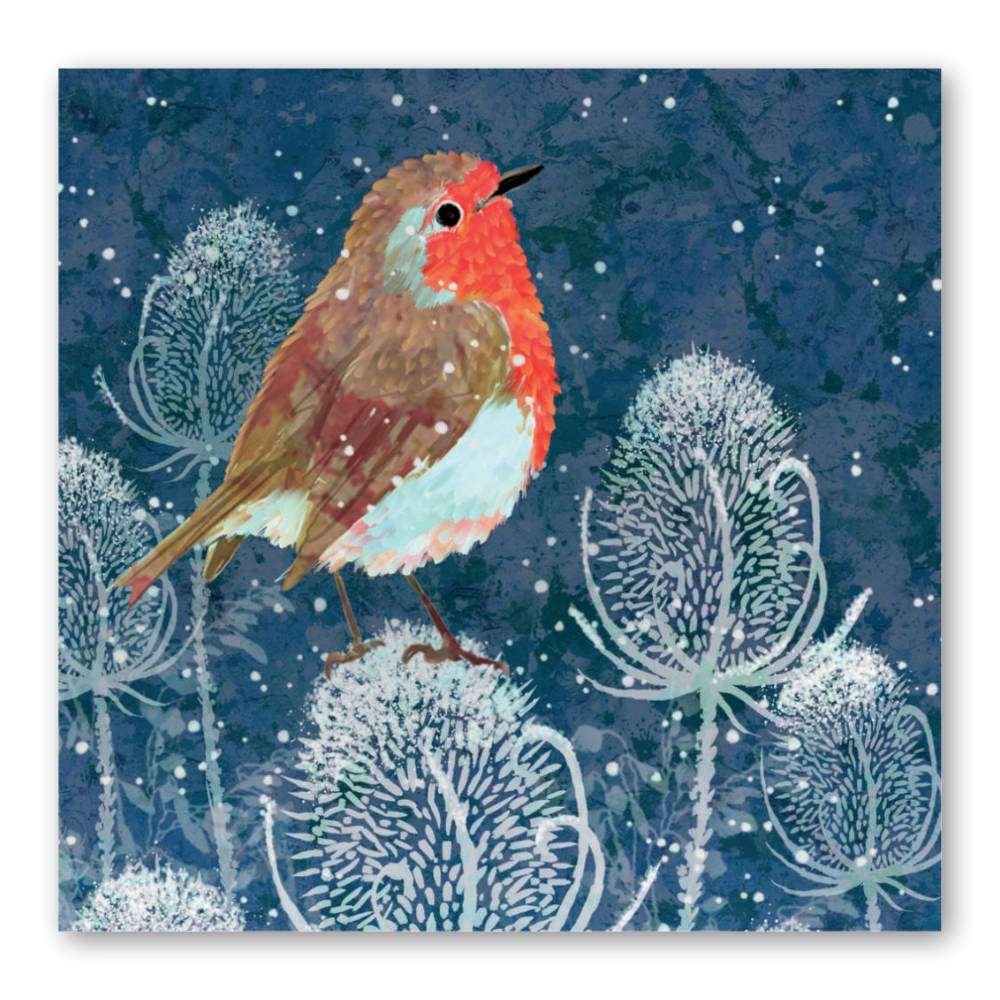 Hope Pastures Christmas Cards: Winter Thistle Robin