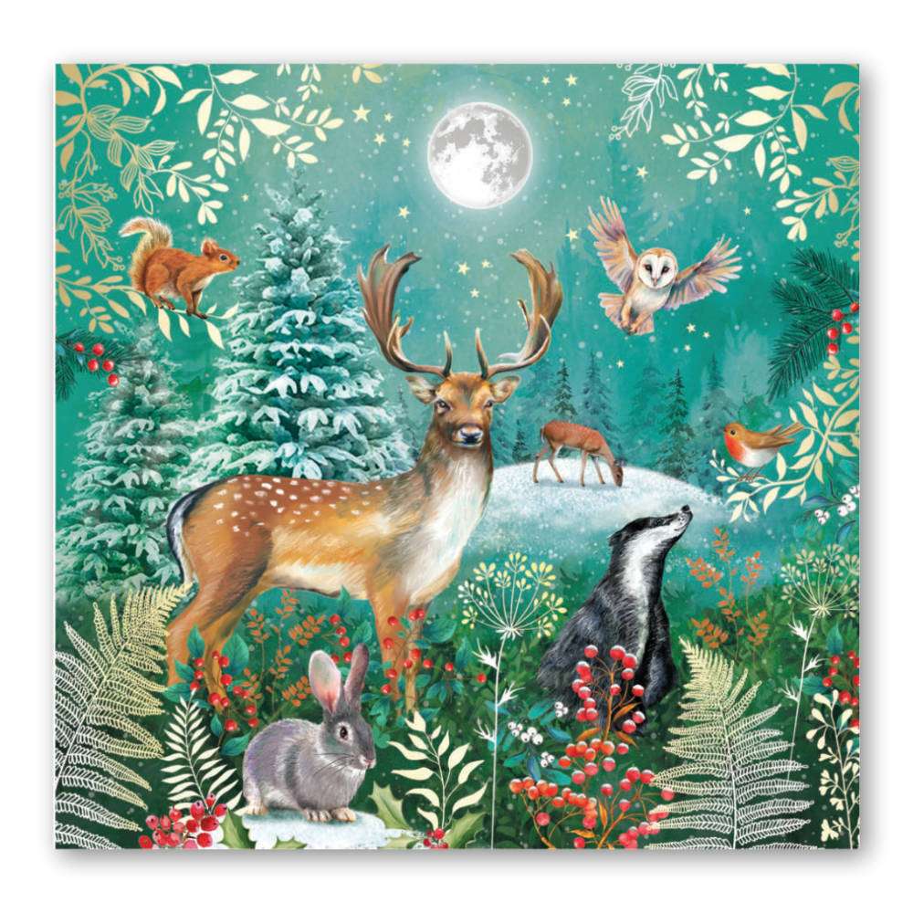 Hope Pastures Christmas Cards: Winter Wonerland.