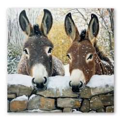 Hope Pastures Christmas Cards: Winter Donkeys