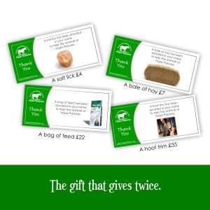 Buy a Hope Pastures gift that gves twice