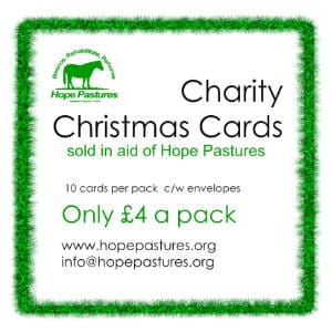 Christmas Cards