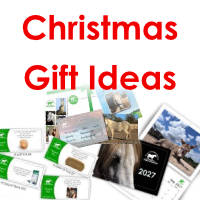 Gifts for Christmas