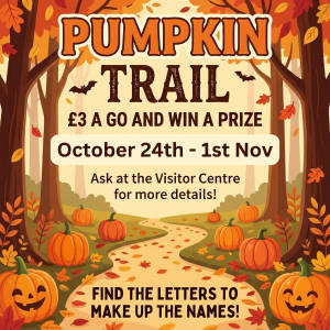 Hope Pastures Pumpkin Trail